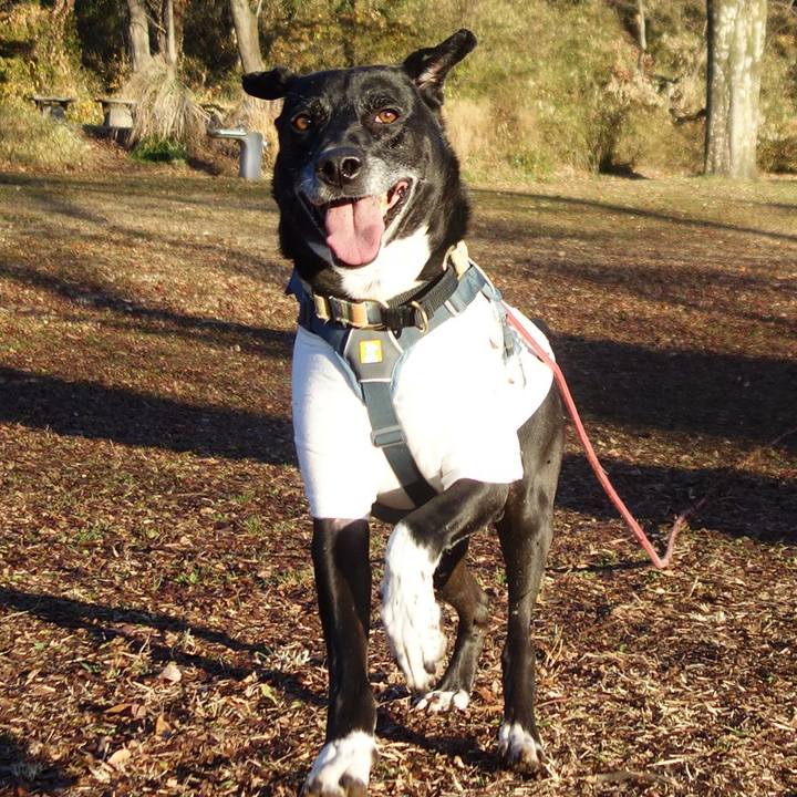 857b7a02 6e2c 4dd8 a97b 736baf964c0d 1704587775223