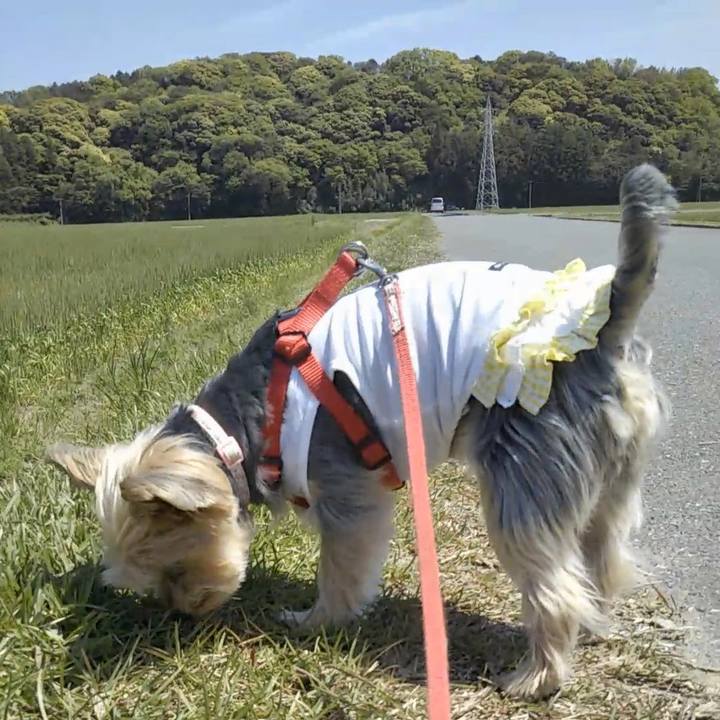 857b8162 9ddd 457a bcda 5b496663f903 1682841892989