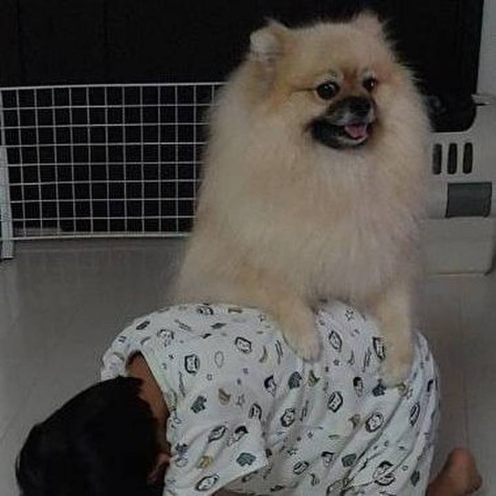 857ba434 f50f 472c b009 18ed3904325e 1694738560949