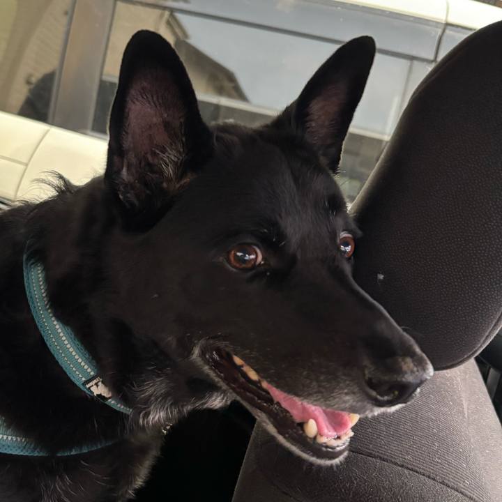 857c0e6b 8797 4e43 bfce e3efa2527d46 1756025514535