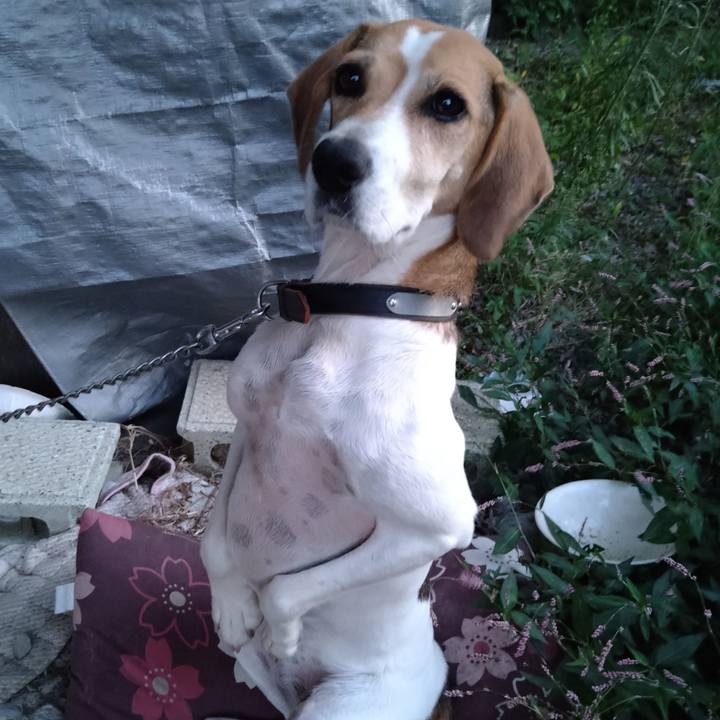 857c130c 5631 4625 9556 97d6bec7eaa6 1664619604691