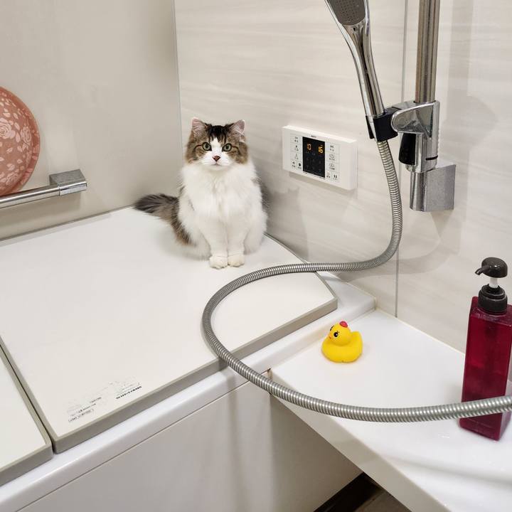 857c1c1a 1c97 4e77 8449 44d36dbc7f4c 1764247461078