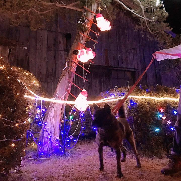 857c3478 496b 4e4c a0ff fbcb846bfbc7 1514038702938