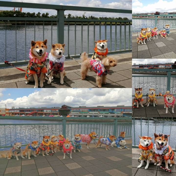 857c5c3d bc2c 4a35 8d18 0d1483bafd1e 1653231746980