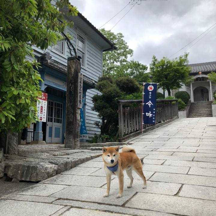 857c9e33 dffe 4088 b234 45bbf87d0207 1558341729701