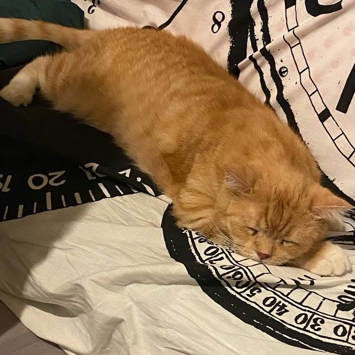 857caae8 f706 484c 9c06 8b9f817f1005 1627474765861