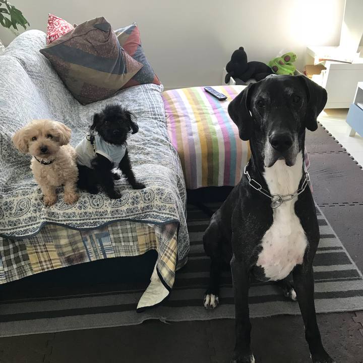 857cc898 8779 4a8b a779 b13b89560e02 1527807250948