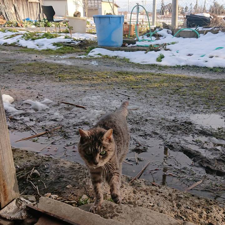 857cd24b 03f6 4efa a8ef d7499e8b77ac 1577601875127