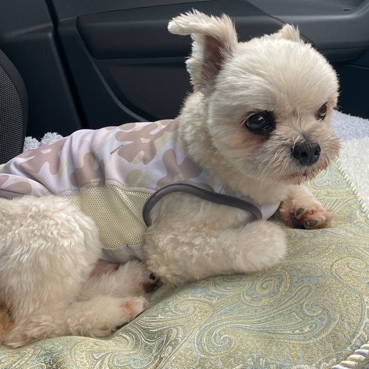 857cdb8a 34b6 4840 b91c 053a48ff20f1 1755258478853