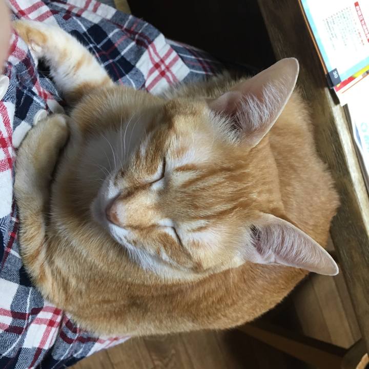 857d247b 3293 4697 9de2 8174f82dc1cb 1546788757351