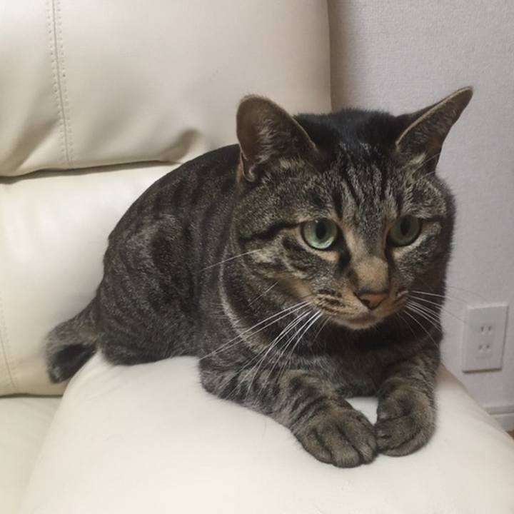 857d2d1e 91be 41b8 b096 43f927b762a6 1558559280745