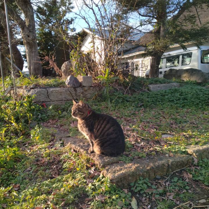 857d40bb 0e33 4011 af0a cf370ac1afea 1669877708037