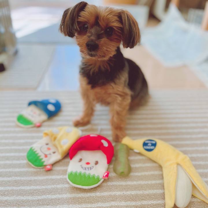 857d6933 84fe 417c 92a5 c074813b343f 1641096043653