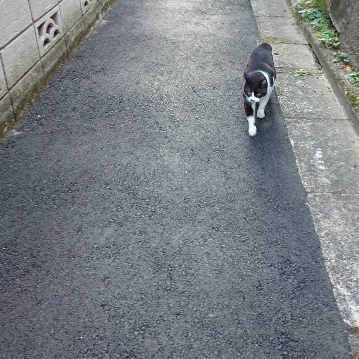 857d98f3 22d3 46fe bde7 0ca32154124b 1606481970438