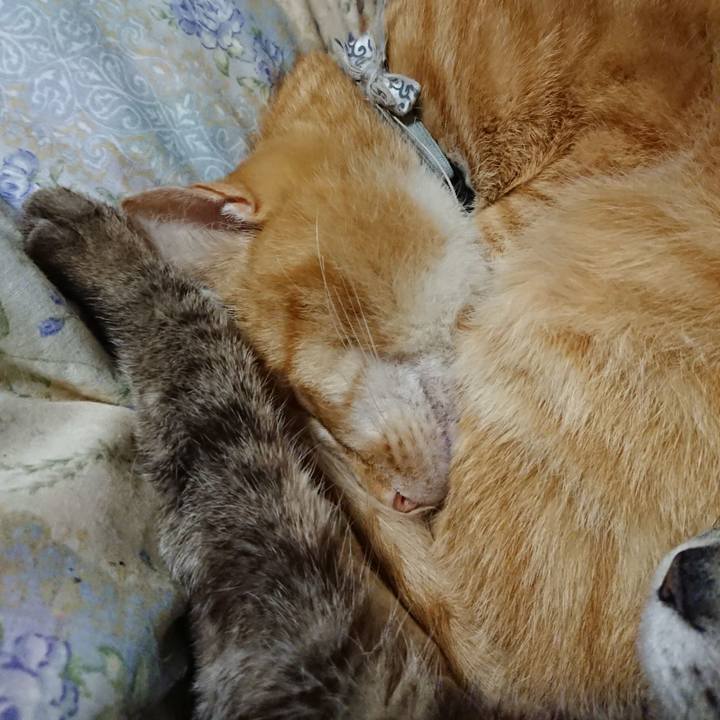 857db752 23eb 42dc b9f0 8fe46951b8d9 1589981169308