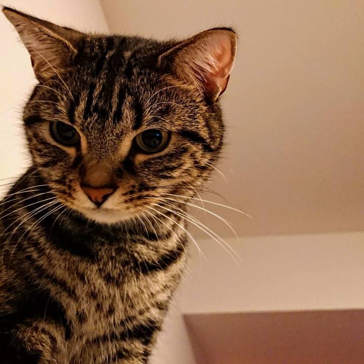 857dbf95 272b 492b a361 4c9bd3365105 1547938771025