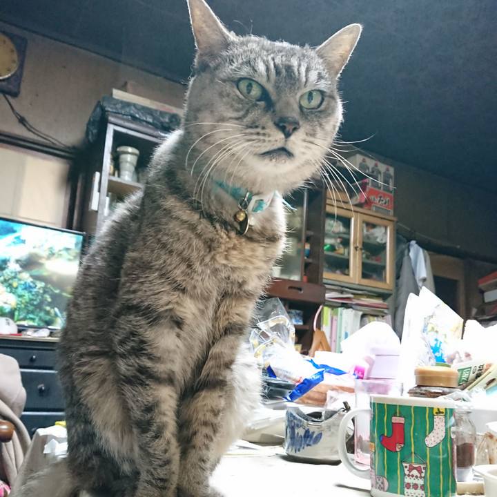 857dd2b4 8d3a 4803 94b0 af5d808b05ed 1572782668138