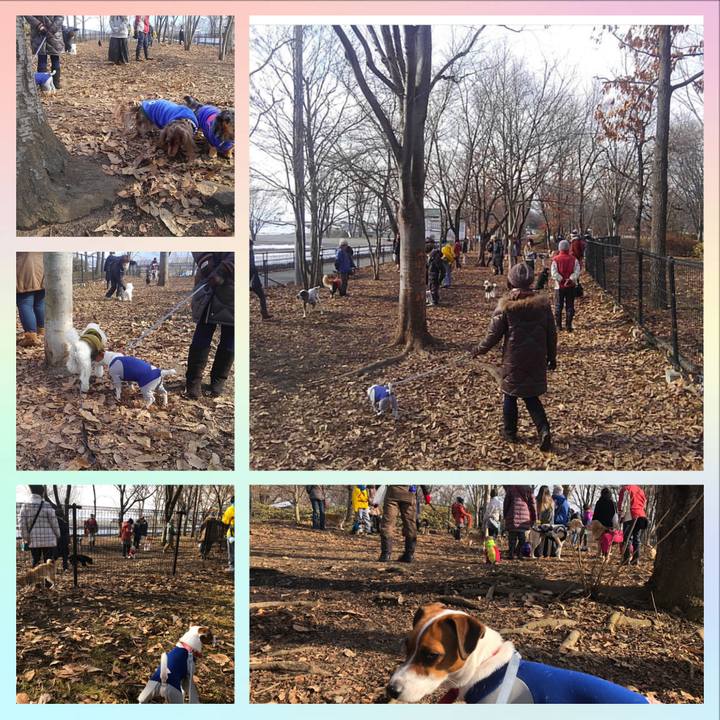 857dd36b d2e8 4303 b112 16c545130082 1546943368701