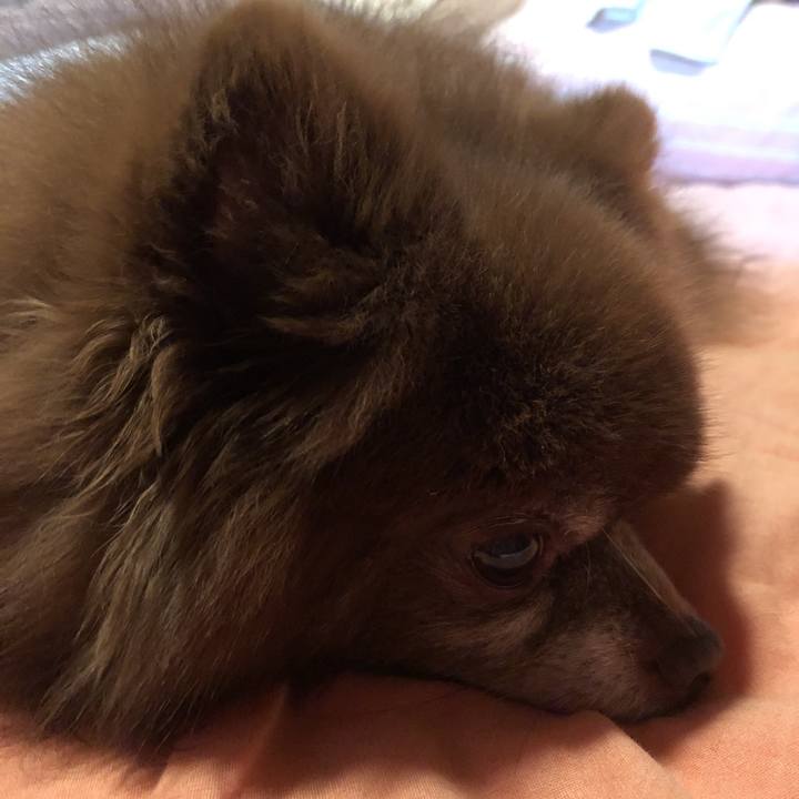 857e4ed7 6eb1 446d b125 18ea274601a6 1612175063990