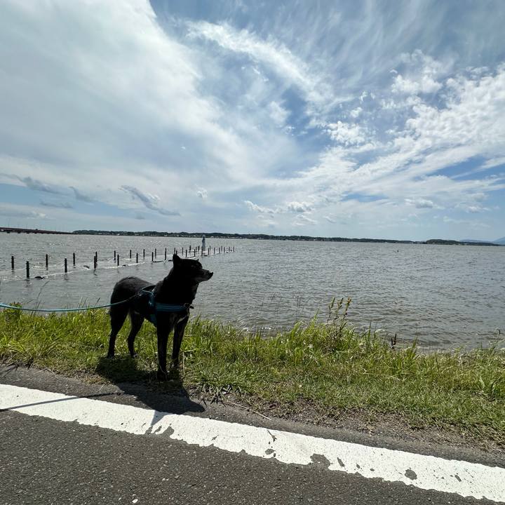 857e6422 ad52 4e41 a2b6 6cc587af626d 1686266889148