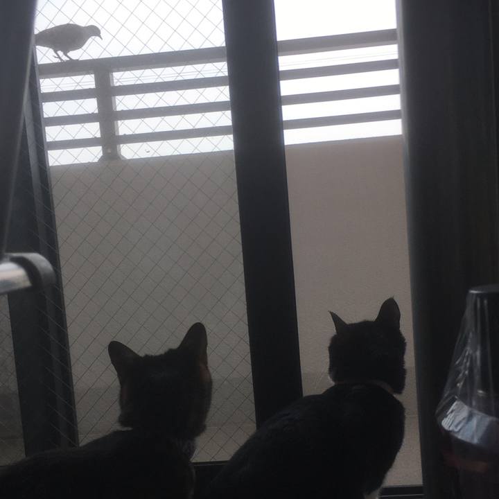 857e7b30 65b2 4b00 b1b7 bb0cf8d3524a 1591667192097