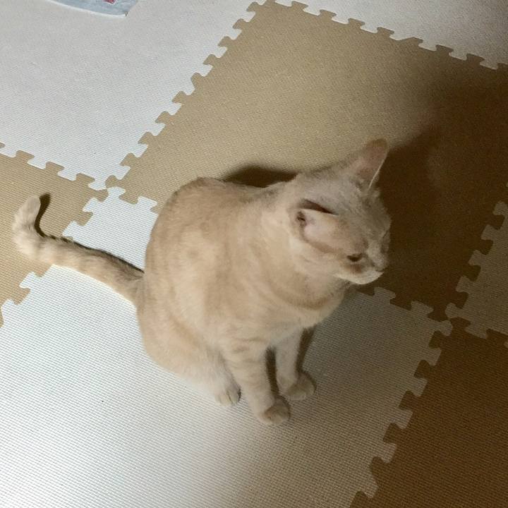 857ed62c 17ee 41fa bb83 eb90bfbb96c4 1534946916106