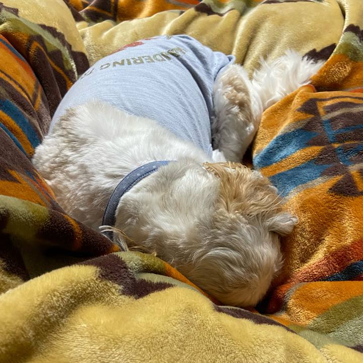 857ef137 40ae 44ec bc39 dab013d5166e 1671005659535