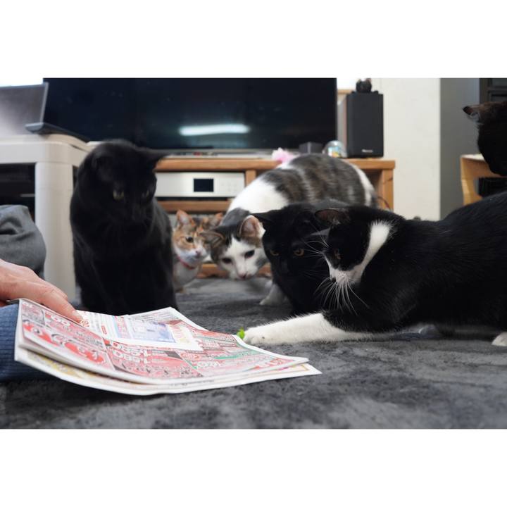 857f43a7 bf20 4c0f 825a 926566fa2123 1613652833866