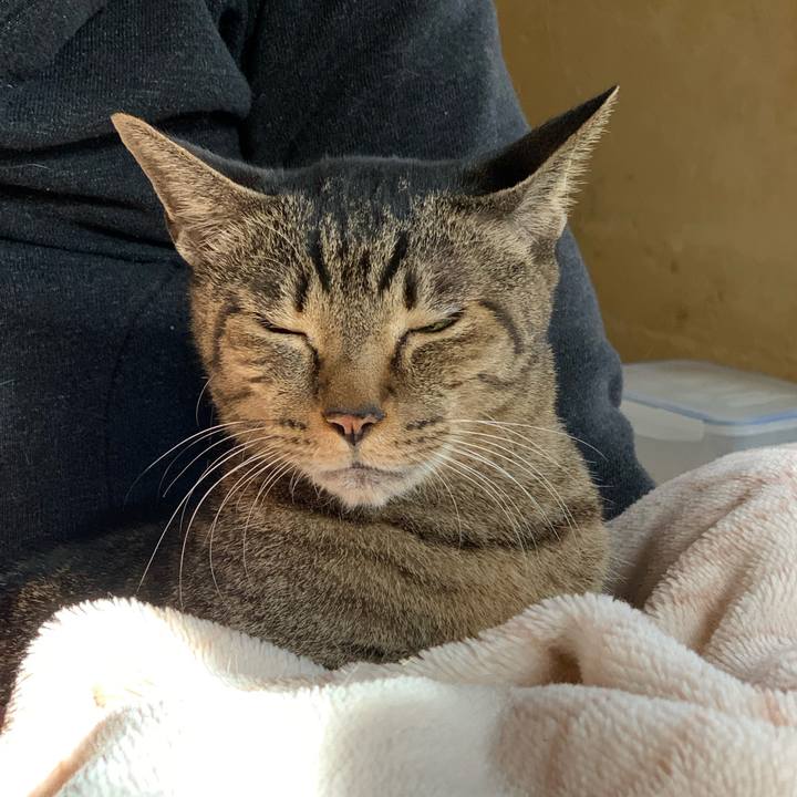 857f5d16 594e 483a af32 864dd78c9115 1576285721192