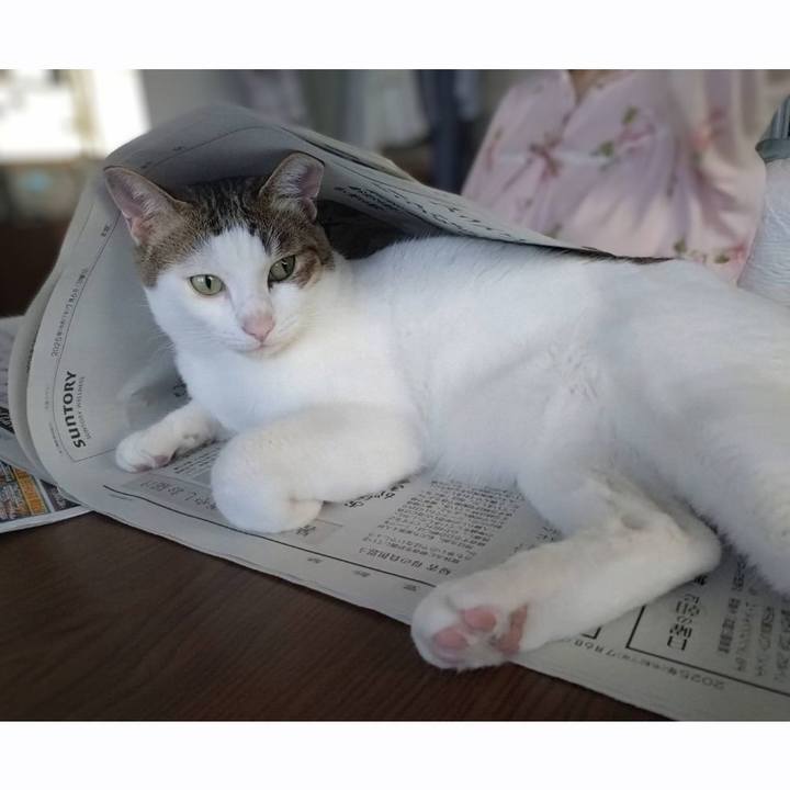 857f607d 7272 425f a5c4 d1f01b09904e 1751765651200