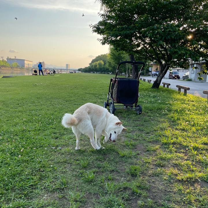 857f7df7 9d64 4e4c a0d0 a5fe1862448b 1652794575723