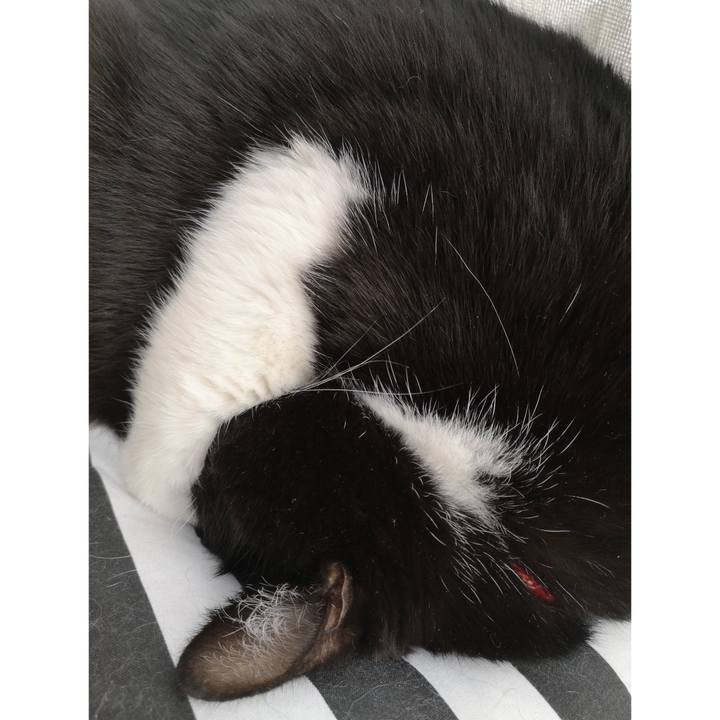 857fadcf 1650 41ec aa44 9f4668dbbca6 1669951683732