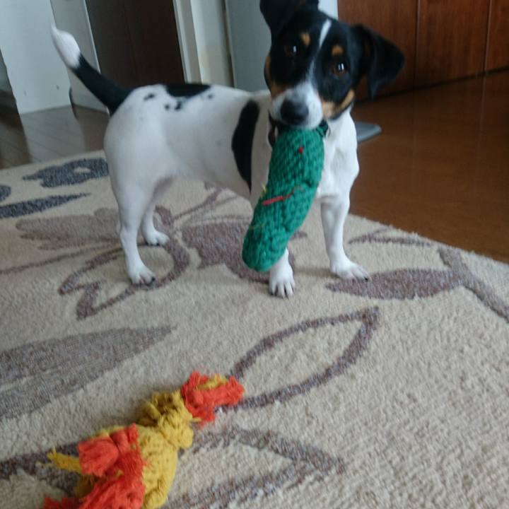 857fbd25 7931 4934 875e d2c839c18a4a 1552653374343