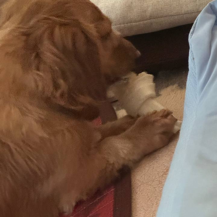 857fd359 c0b3 4647 aab7 6286874639a2 1755071063317