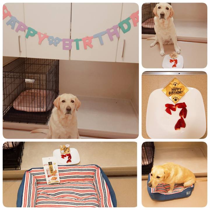 857ff037 9322 4398 85c6 7822f6d76f68 1555416001508