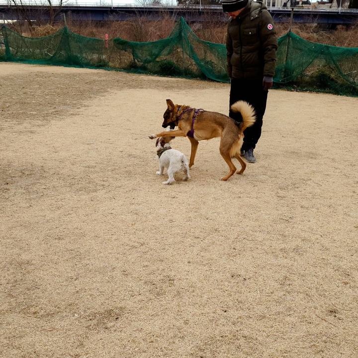 85801c60 e4e8 4610 87e5 9f878105008c 1738990422332