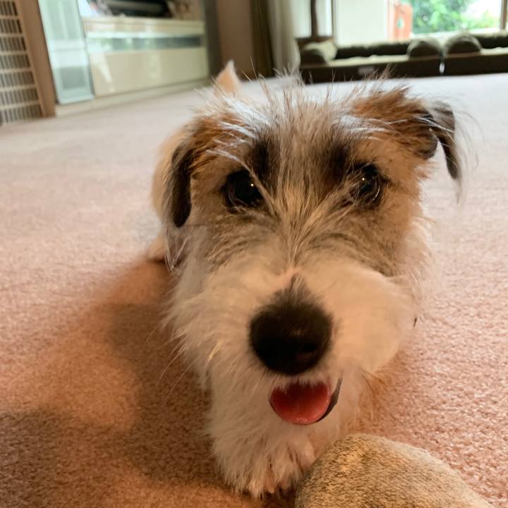 85802db5 2095 4aee b465 6d1cb3b39bb9 1570495026076