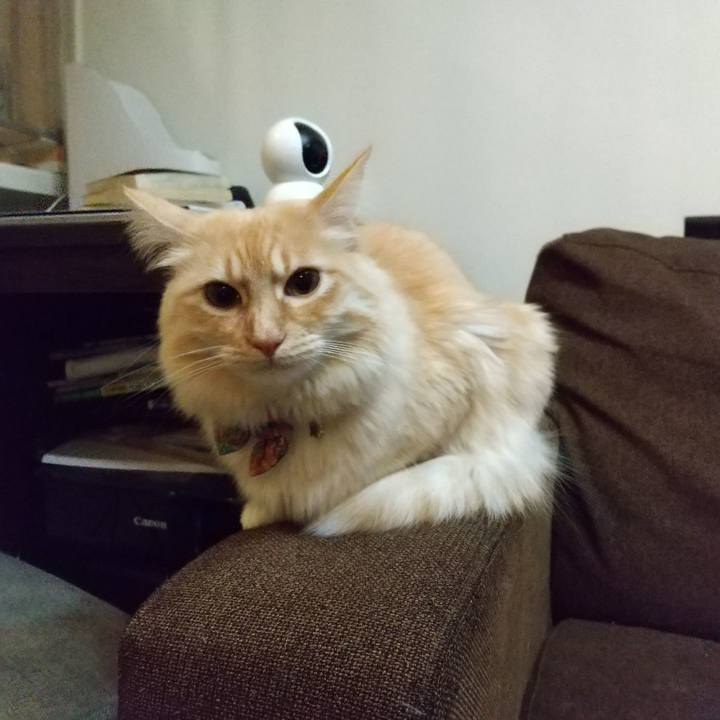 85804899 0d1c 48ba 85ef 59a91751d461 1642589800046