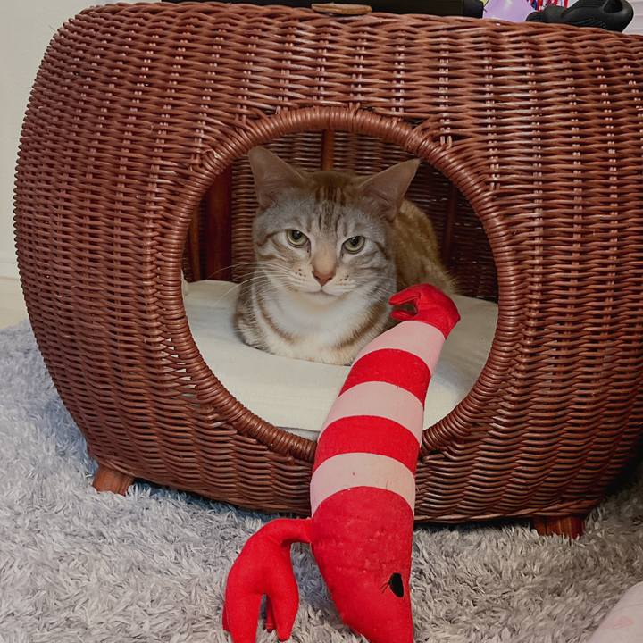 858068ed 805d 4208 b10d 5a3fee83b6dc 1679663293735