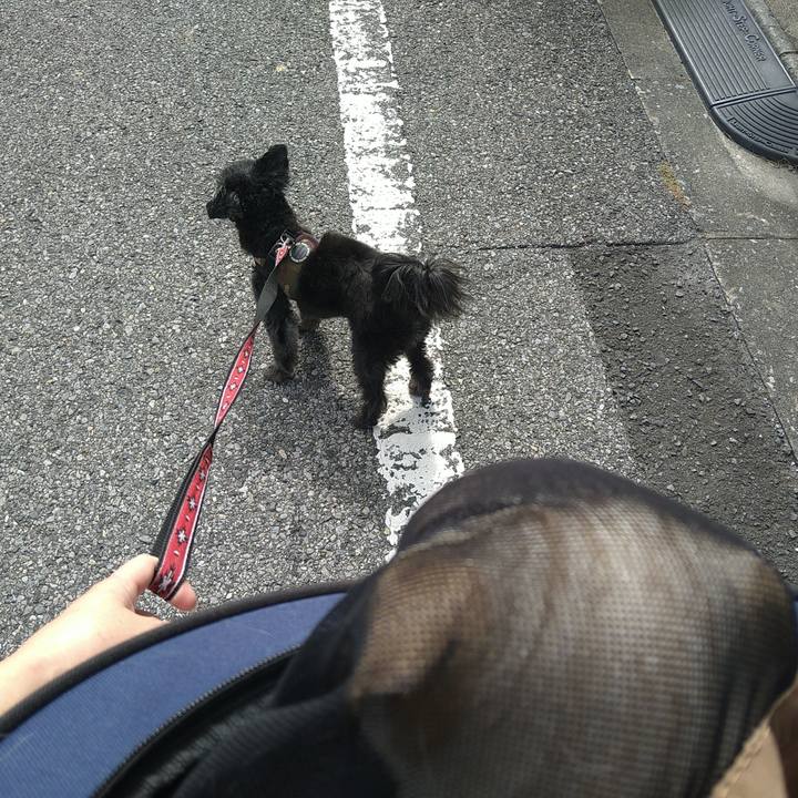 8580798f d2f2 49ed a1ee 8453a0202ee7 1697252306542