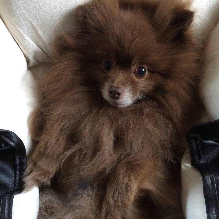 85807a79 2371 4edb 9955 1d20f0b8fc22 1527851621327