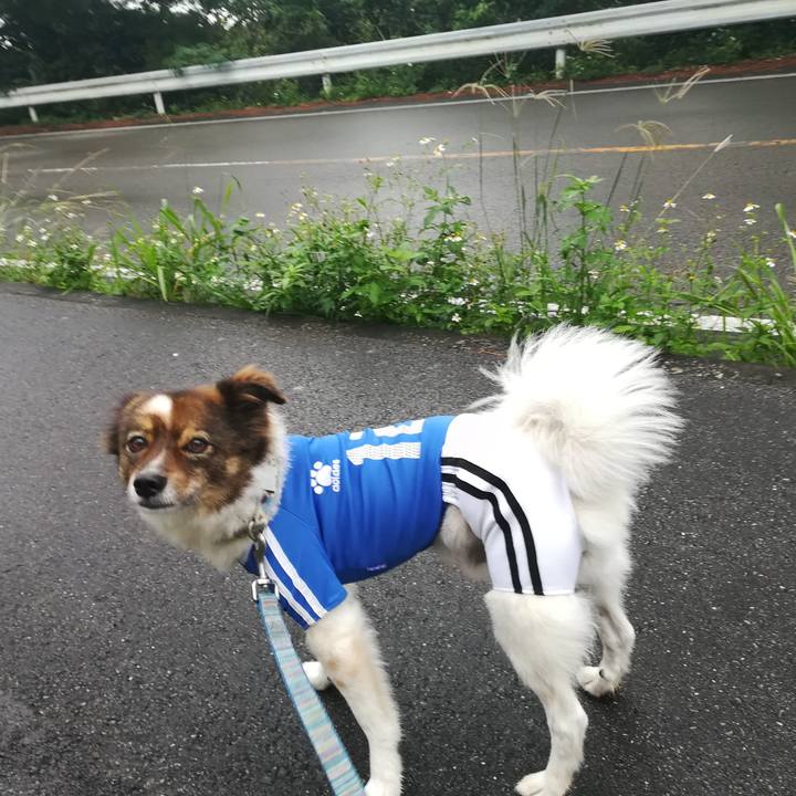 858094b2 24fa 4aaa 9b71 cb01720db6cd 1511762519928