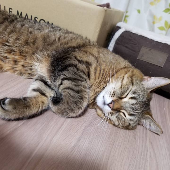 858099ac a8a2 450c a188 099099bb5a65 1616330880451