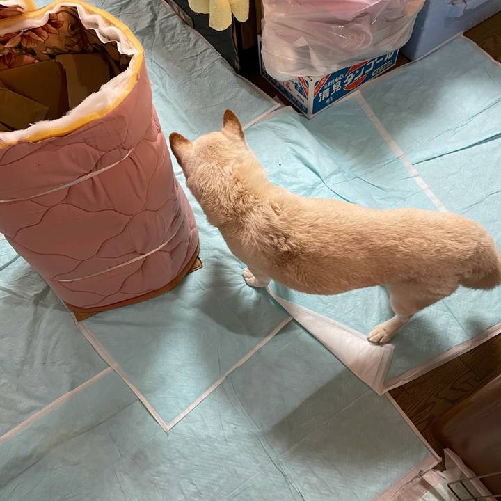 8580d34f 1c20 40bb bbee c2345f6566bc 1637857526743