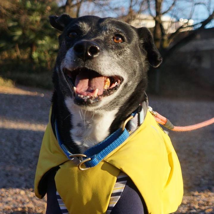 8580d664 5d64 4918 970c edb8bb4537ab 1767832998554