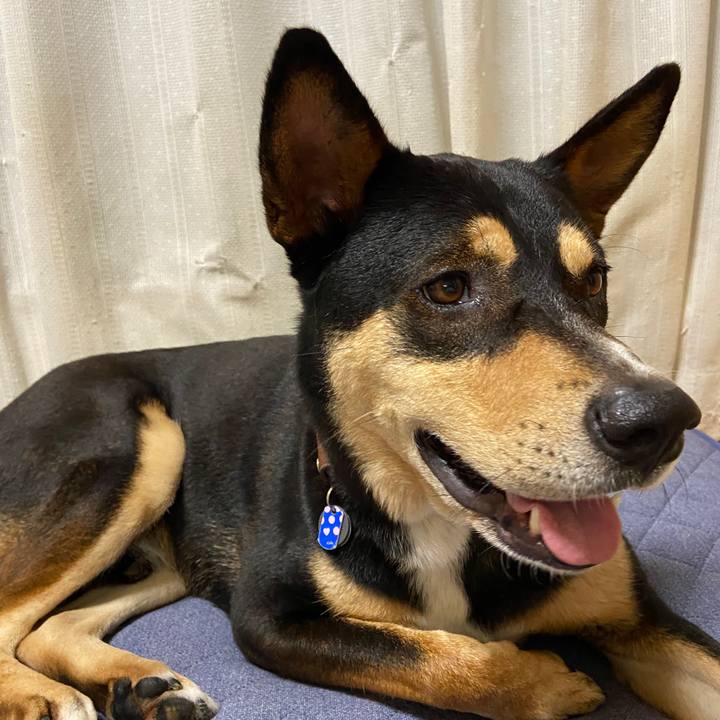 8580e623 b3cc 45ea 9516 1dfdee72d114 1627742786800