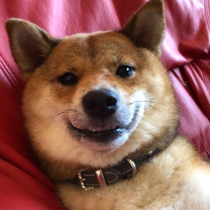 8580fa69 f1b5 4df9 ad88 ca0e21c5e793 1532901021561