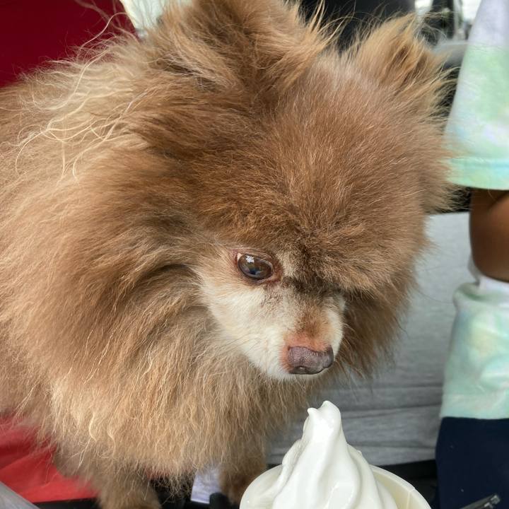 858101d4 72d0 4d77 aa92 d2dc822bd220 1723754609176