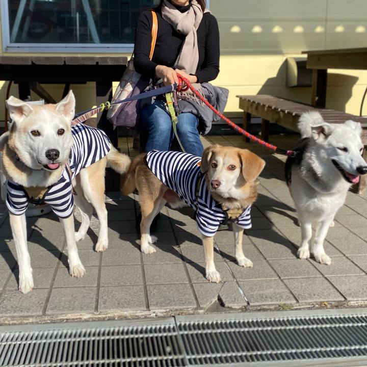 85811745 6c6b 465e 835a 5000b2f515e0 1762588300486