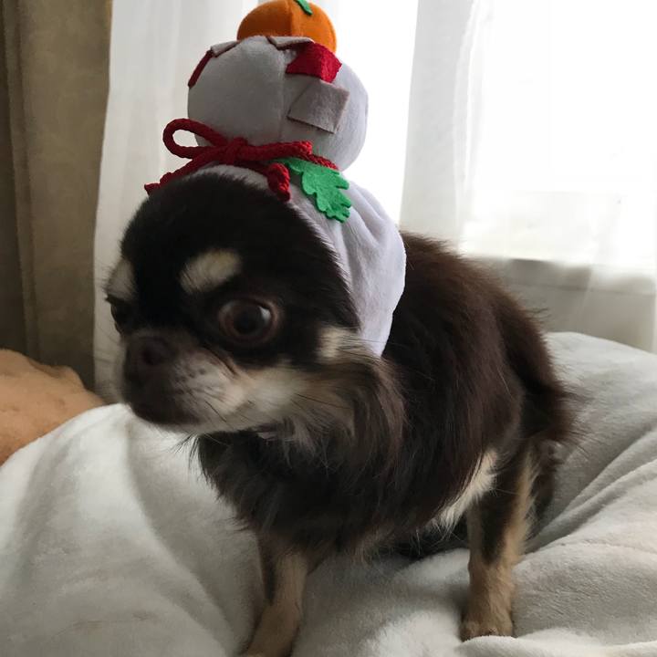 85811b3c 29ac 470b 8c53 840c2cd6bacb 1514771773822